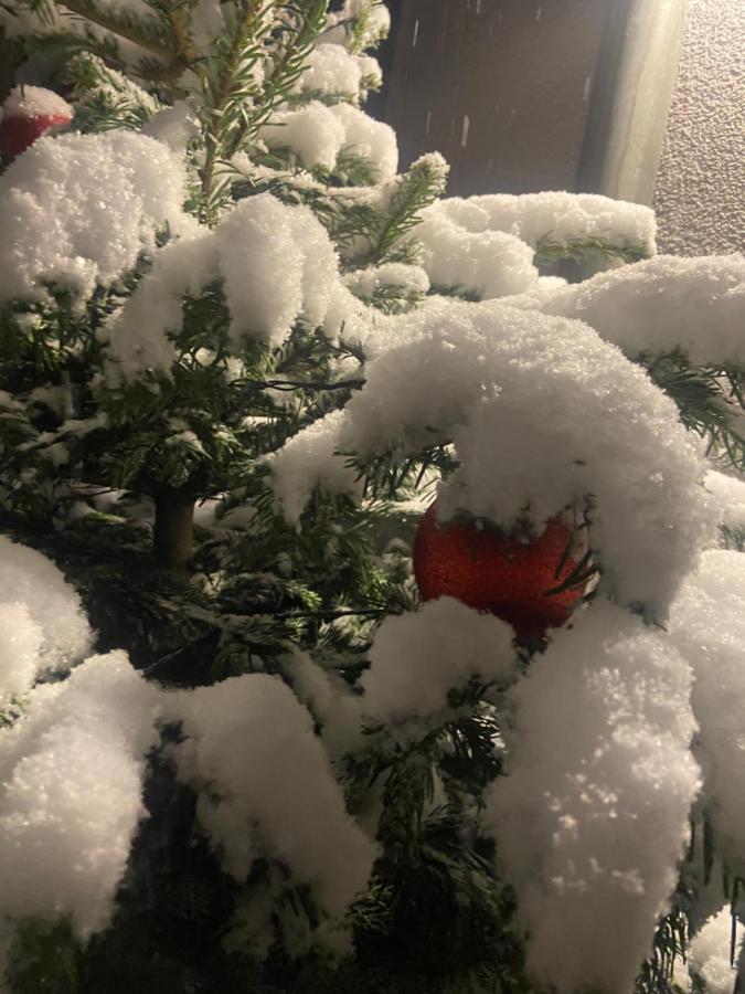 Ferienwohnungen In Erfurt Dış mekan fotoğraf